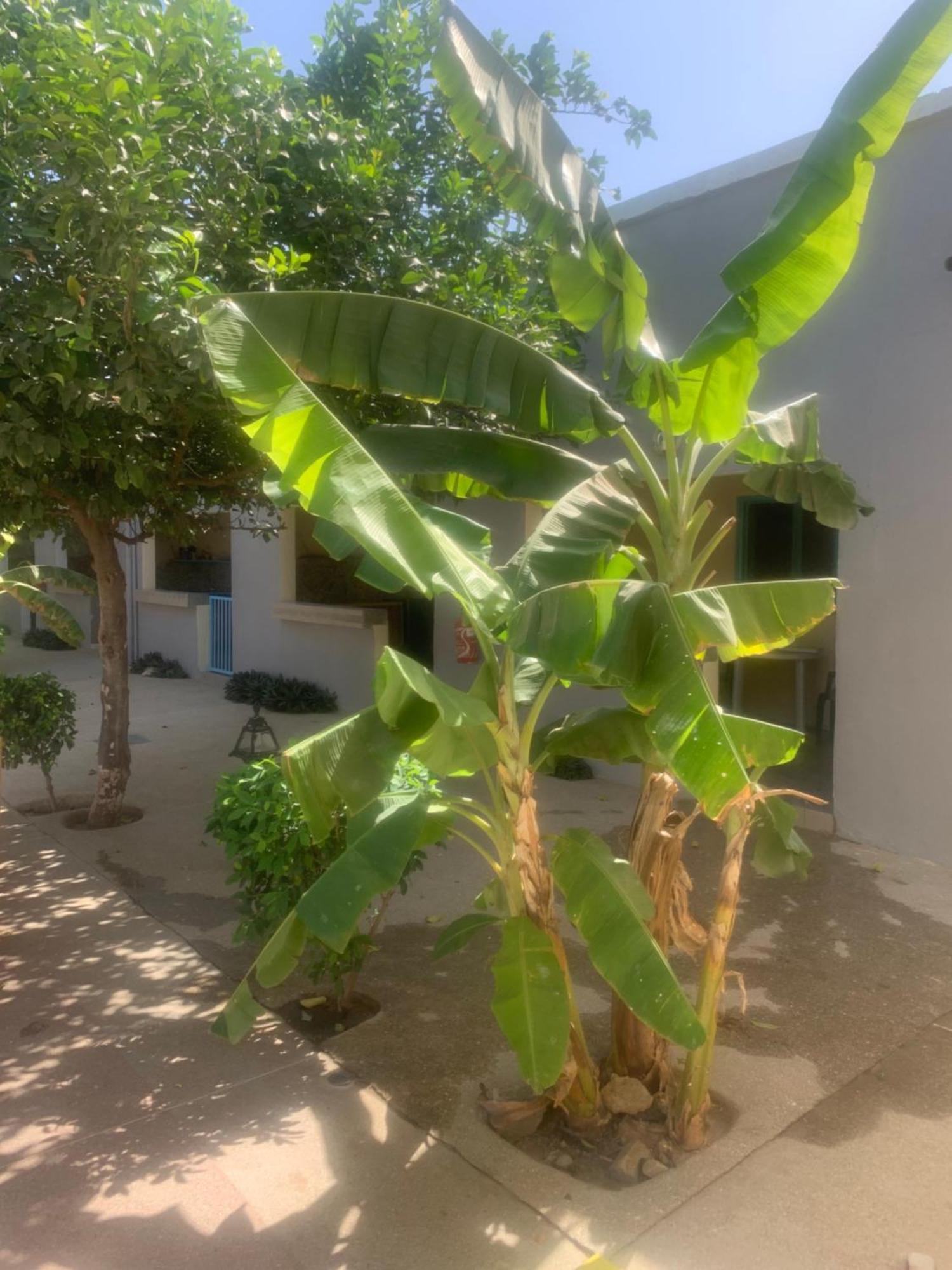 Auberge Keur Ely Ouoran Εξωτερικό φωτογραφία